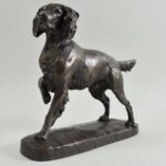 Springer Spaniel