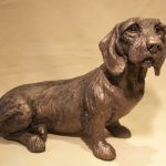 Rudi Dachshund