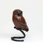 Little Owl